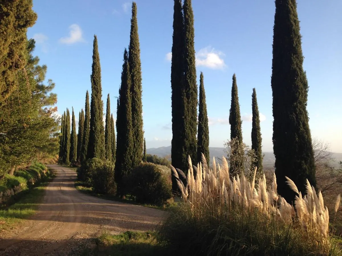 Holiday home Holiday In An Antique Tuscan Farm Apt Il Giardino Podere Caminino